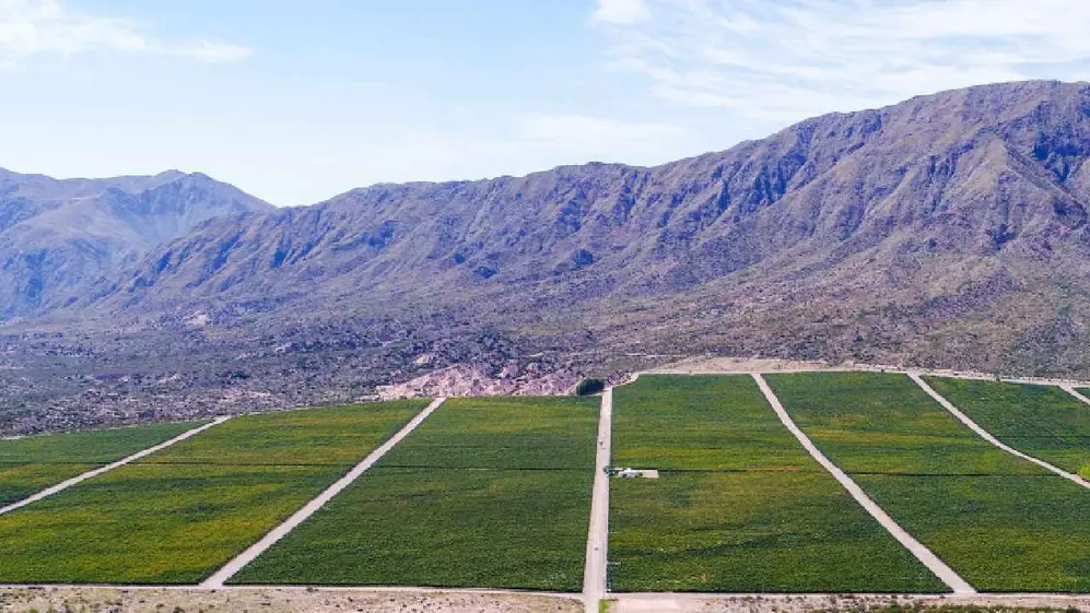 Pyros desarrolló un ambicioso plan para estudiar los suelos del Valle de Pedernal