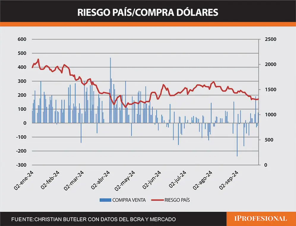 Fuente: Christian Buteler con datos del BCRA y el mercado