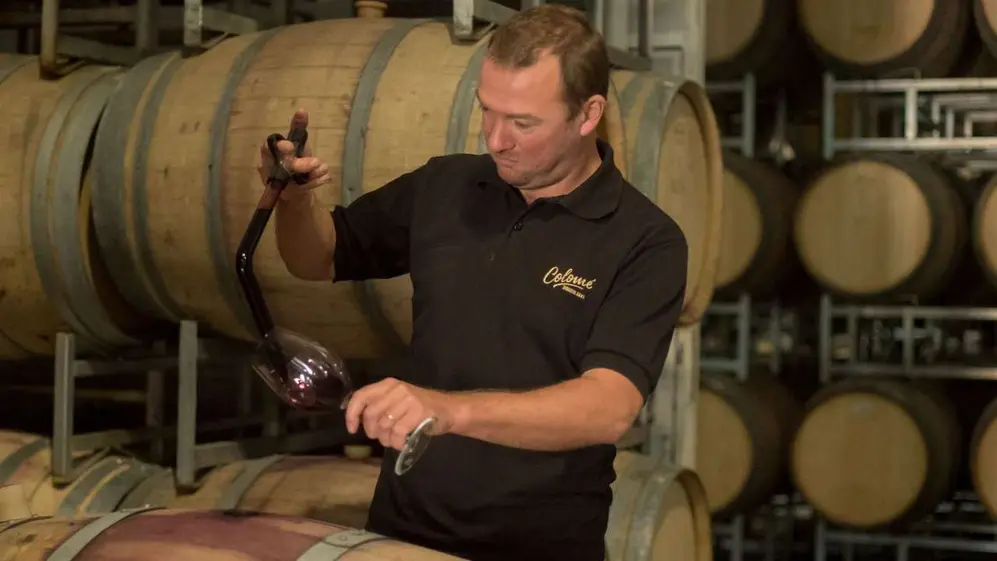 Thibaut Delmotte Assemblage GSM Tinto 2022