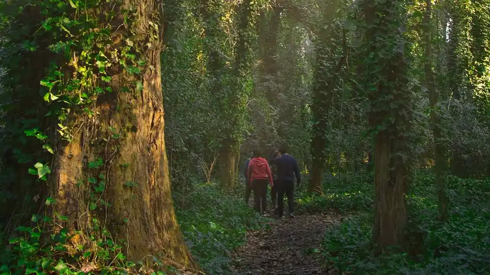 Así es el bosque de General Belgrano, Provincia de Buenos Aires