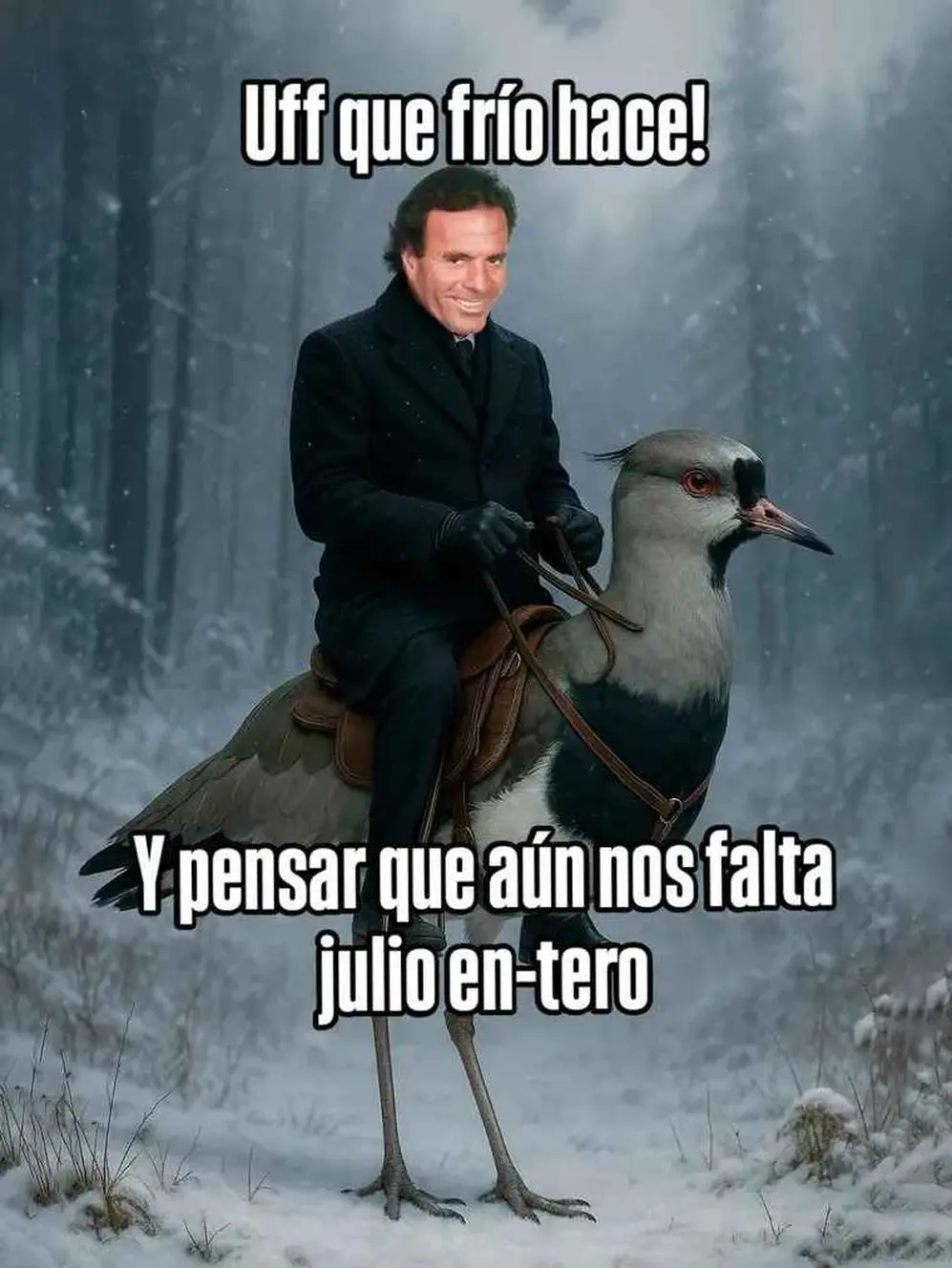 Meme Julio Iglesias 