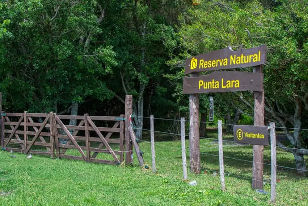Se trata de una de las reservas más biodiversas del este bonaerense