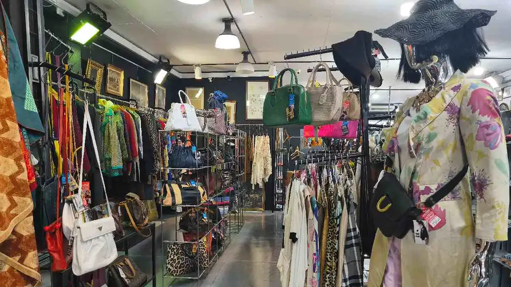 carteras