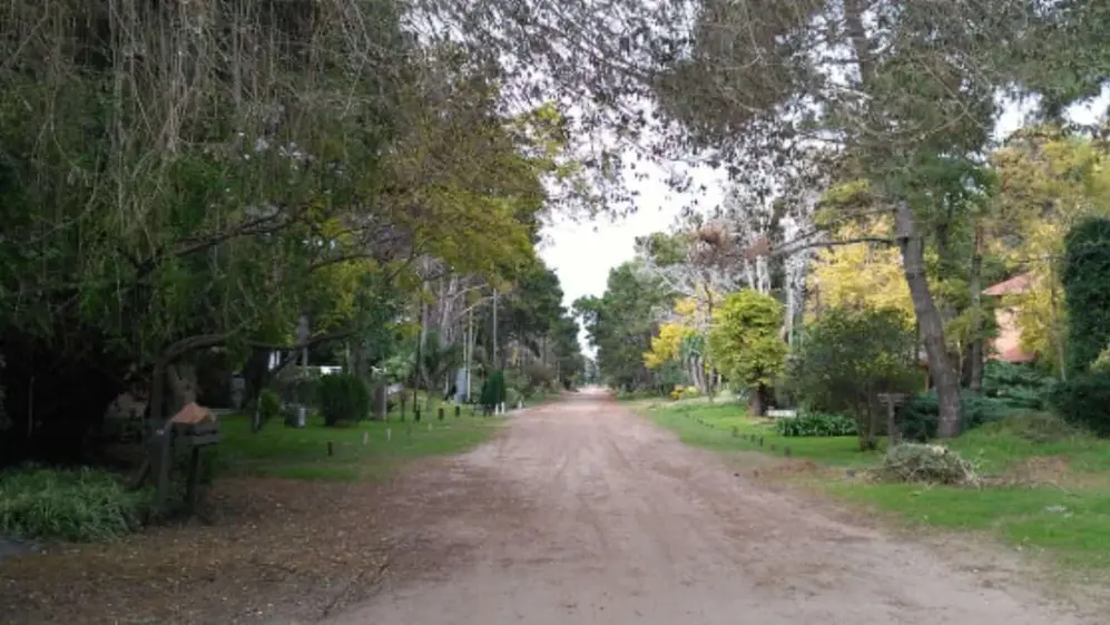 Costa del Este no solo se caracteriza por sus imponentes playas, sino también por sus bosques