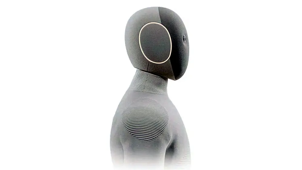 Perfil del robot Neo.