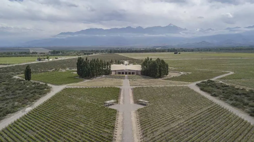 Viñedos de Bodegas Salentein