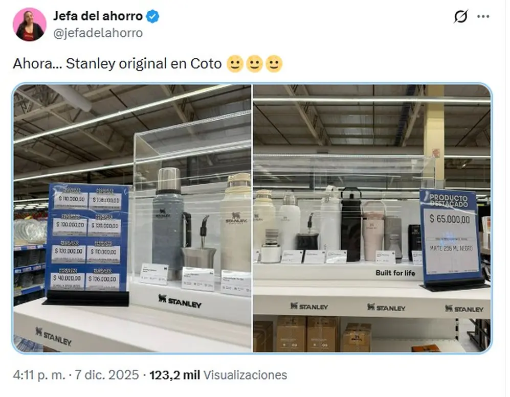 La usuaria de redes 