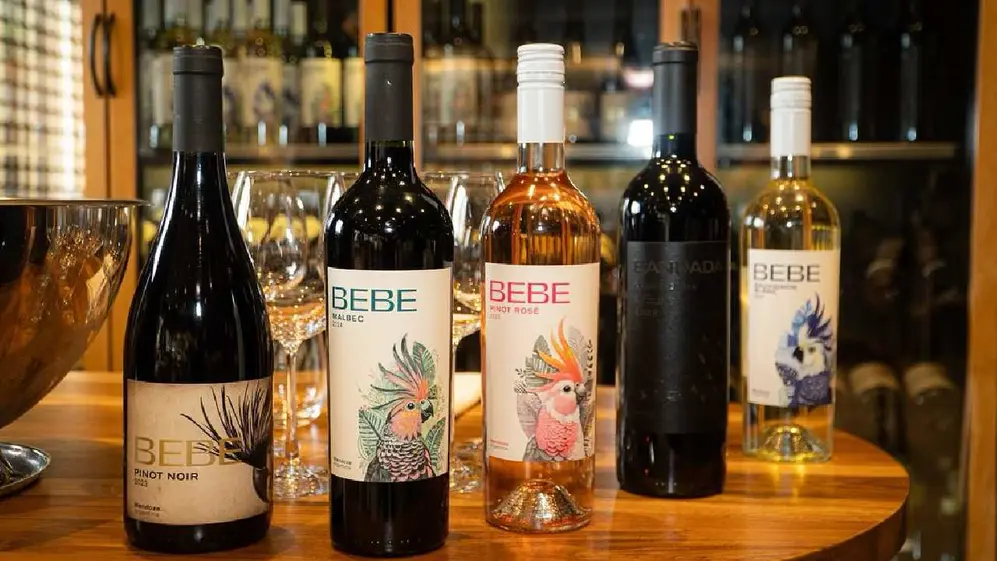 BEBE, con cinco variades de vinos