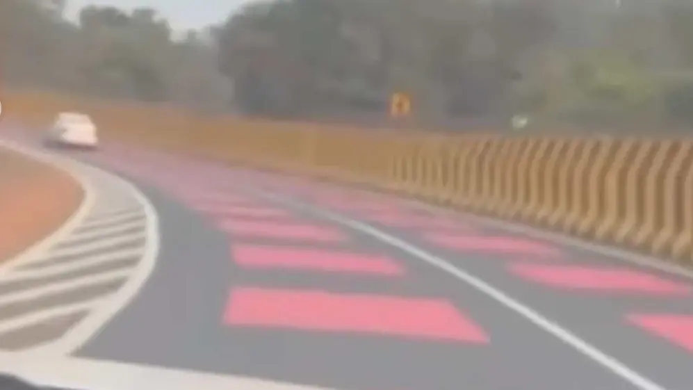 La ruta roja en India, para preservar la fauna y evitar accidentes