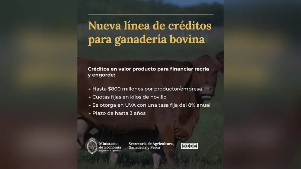 El Gobierno presentó nuevas herramientas de financiamiento para fortalecer la producción ganadera