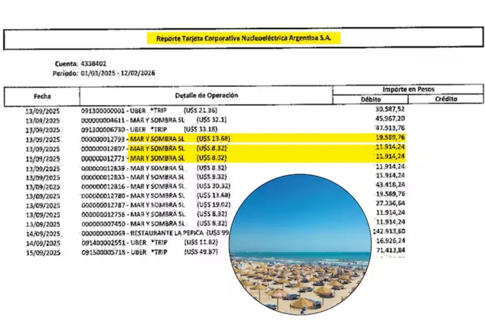 Reporte tarjeta corporativa Nucleoeléctrica Argentina S.A.