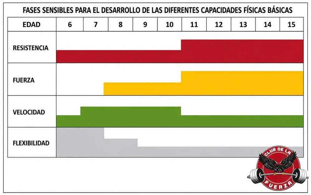 Fases sensibles para desarrollar capacidades básicas.