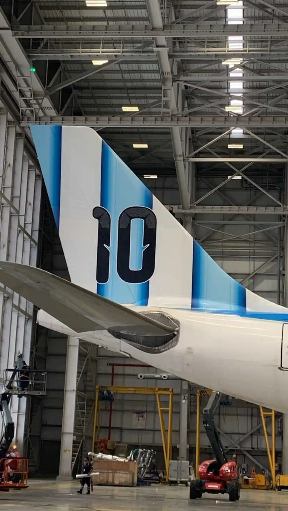 Así será el avión que lleve a la selección argentina al mundial de Estados Unidos