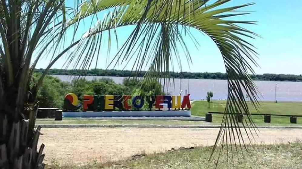 dibu