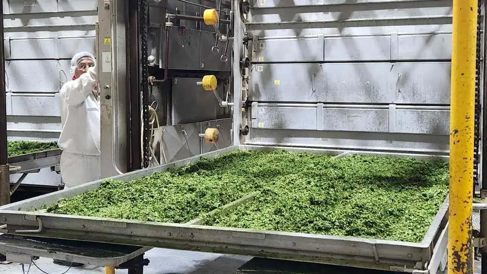 Trabajador en la planta procesadora de alimento seco de Unilever.