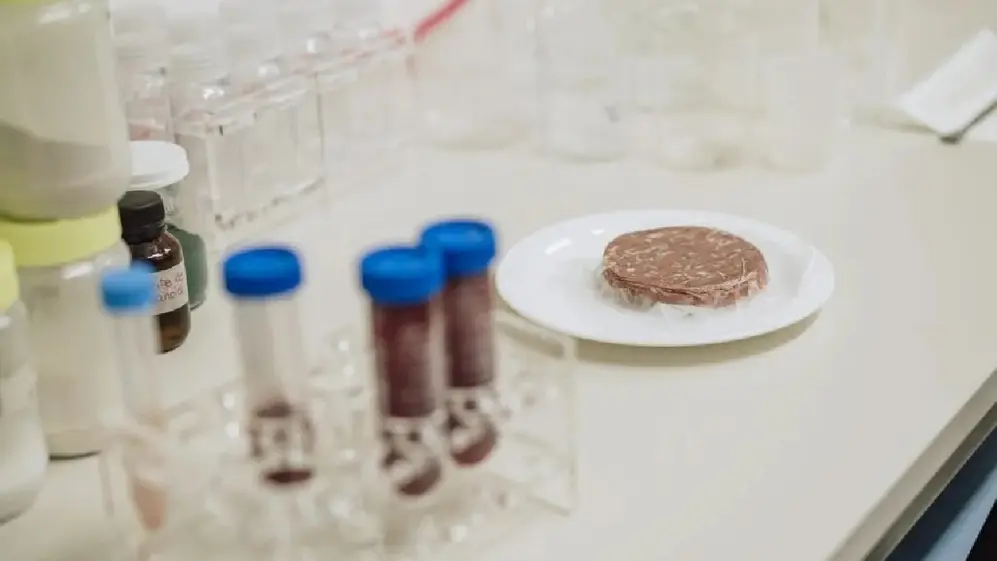 Hamburguesa vegana en laboratorio de Ergobioscience Cites