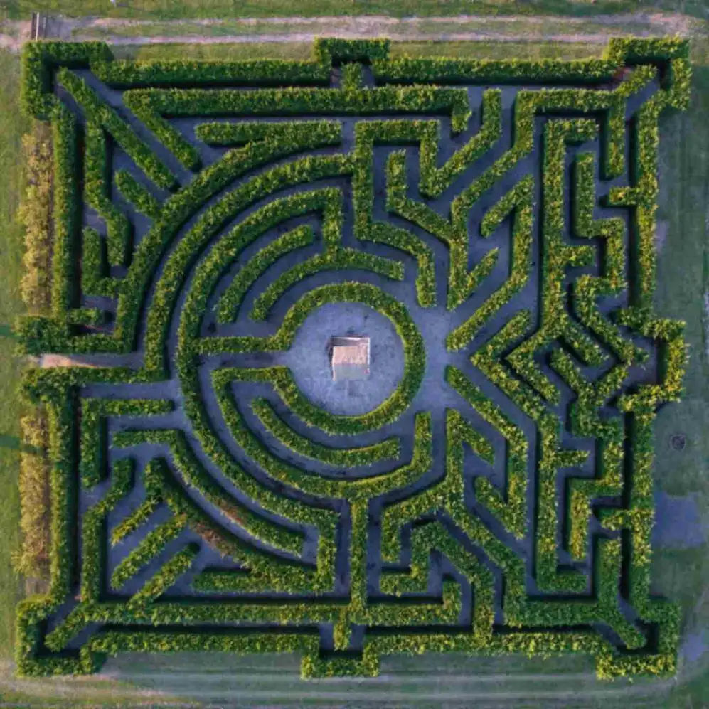 Vista aérea del laberinto de pinos de la estancia Puesto Viejo.