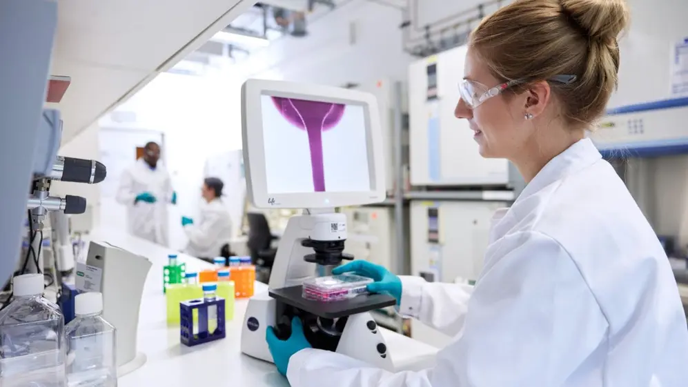 Sofocos en la menopausia: innovación en el tratamiento del  síntoma más frecuente