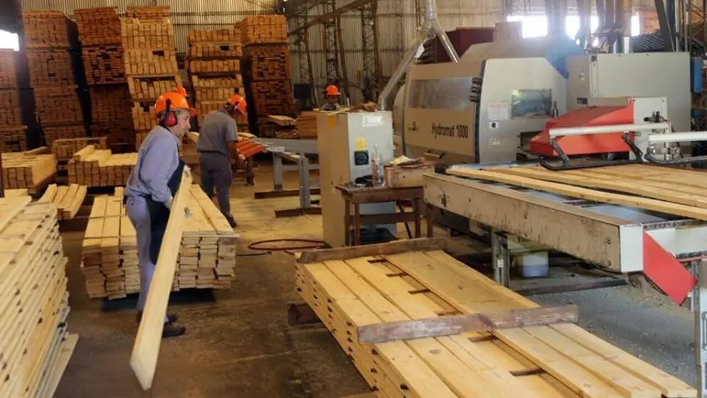 Empleados de Linor trabajando en la fábrica con las maderas