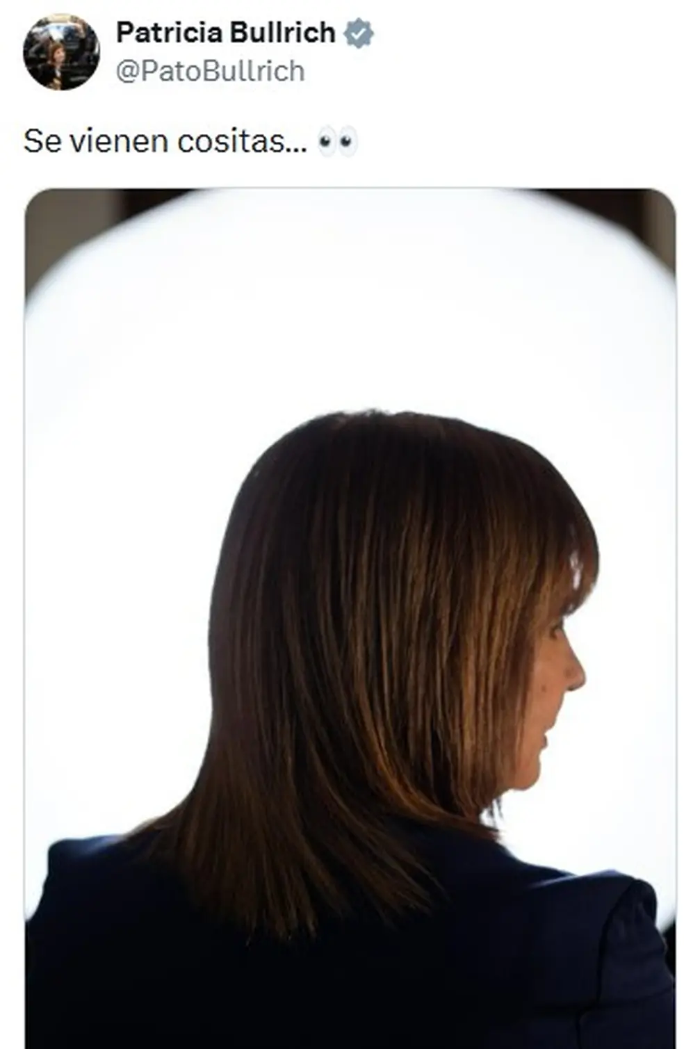 El sugestivo posteo de Patricia Bullrich en redes