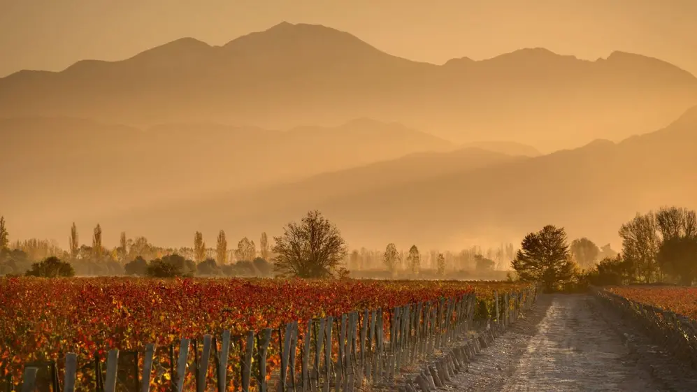 Mendoza, destino por excelencia del enoturismo en Argentina
