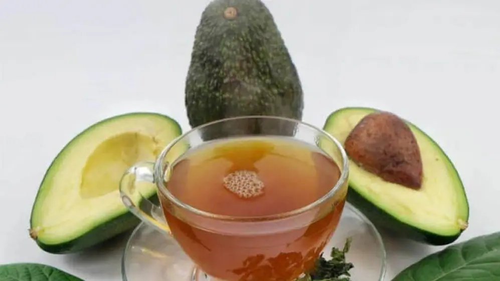 El té de carozo de palta tiene estos beneficios