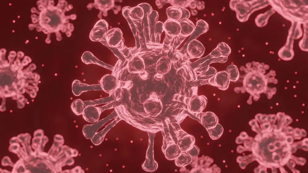 Las teorías centrales sobre el origen del coronavirus se centran en la fuga de laboratorio y en la transmisión de un animal a una persona