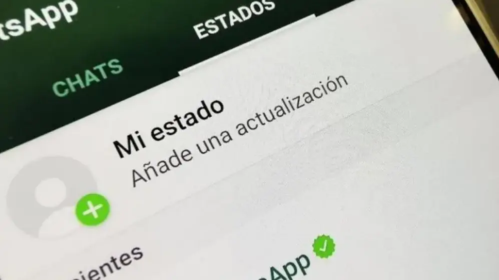 El informe que recibís de WhatsApp no incluye chats o tus mensajes de estado.