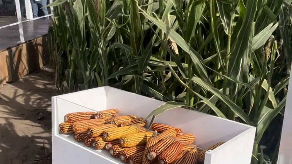 Todo el servicio de YPF agro en un solo lugar.