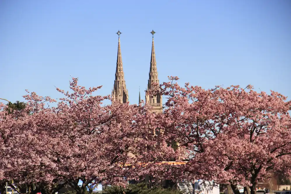 Basílica de Lujan