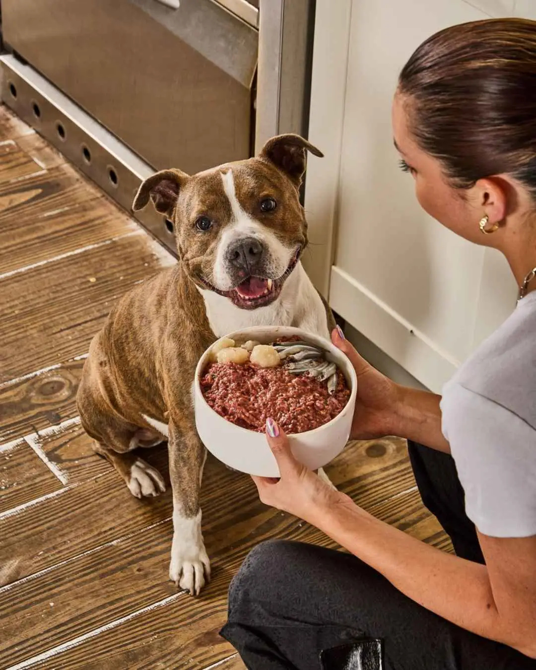 De una cocina familiar a una planta industrial: c&oacute;mo una veterinaria cre&oacute; un negocio millonario de alimentos naturales para mascotas