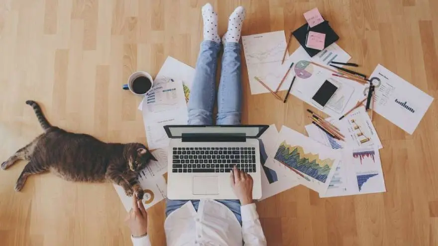 Los cursos online gratos se pueden hacer desde casa y con total comodidad