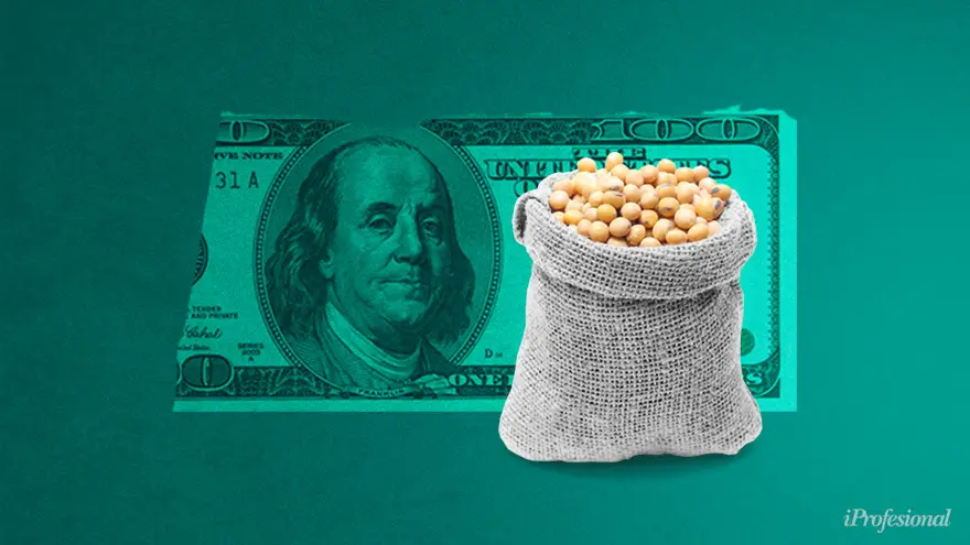 Existen fondos que atan su evolución al precio de la soja