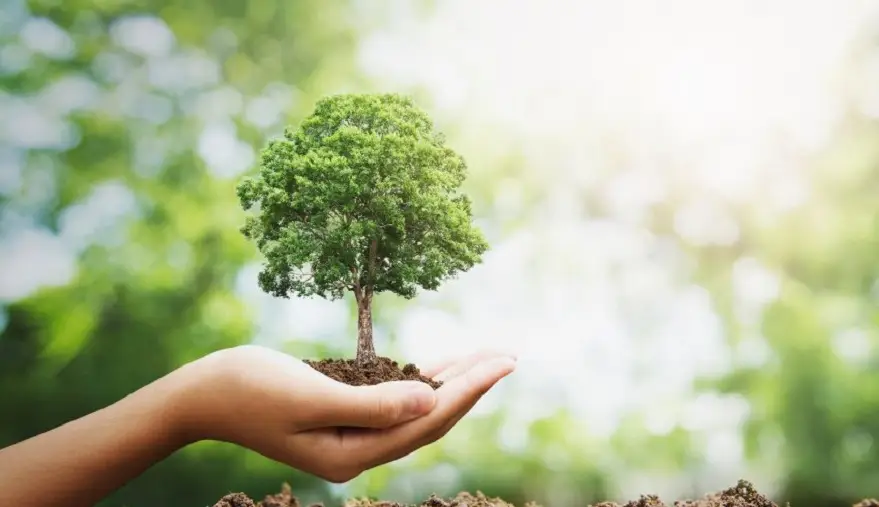rebelión lado positivo del árbol de la vida