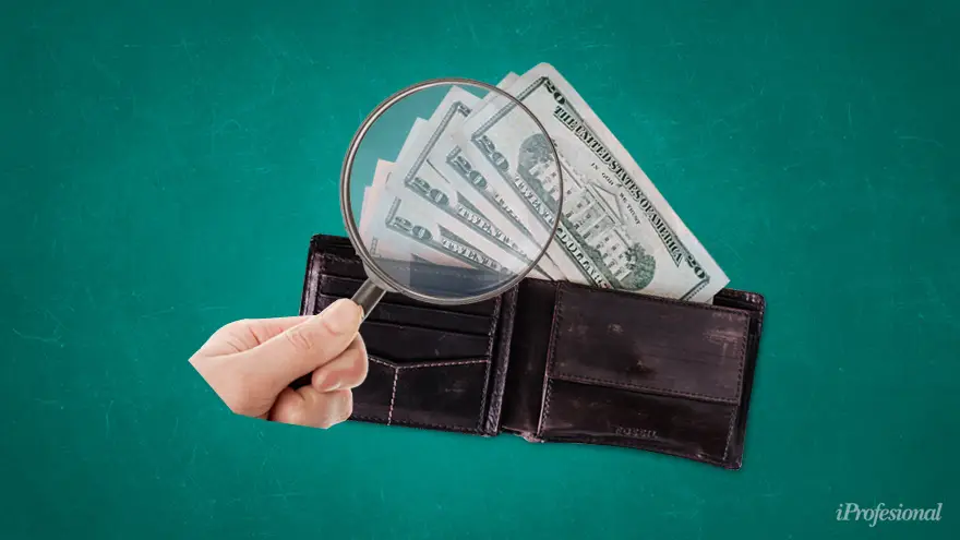 Las inversiones para proteger los ahorros tienen sustento en el dólar e inflación