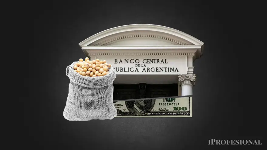 La transformación de las retenciones a la soja en crédito fiscal es una de las propuestas impulsadas desde el campo