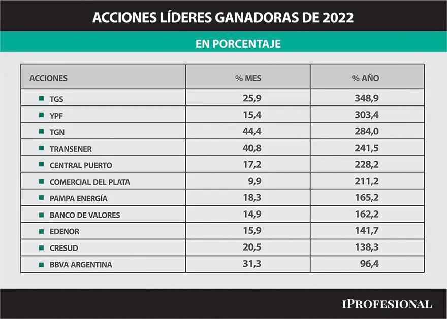 Las acciones de empresas líderes subieron hasta 349% en todo 2022, como fue el caso de Transportadora de Gas del Sur (TGS).