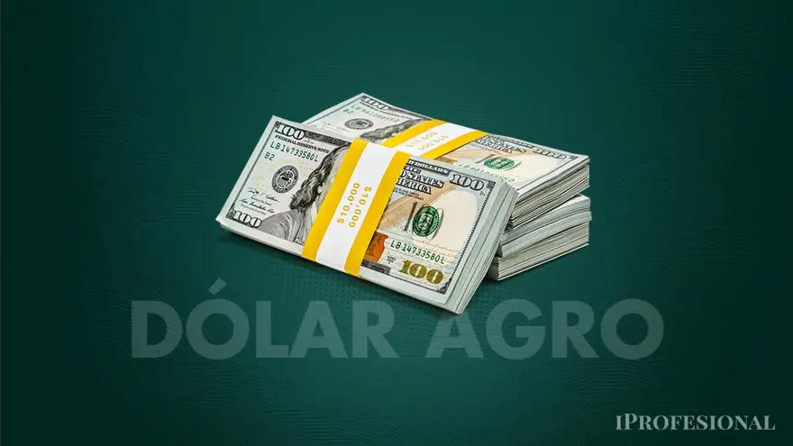 A poco de finalizar una nueva edición del programa de incremento agroexportador todavía es una incógnita si el gobierno lo extiende o lo finaliza.