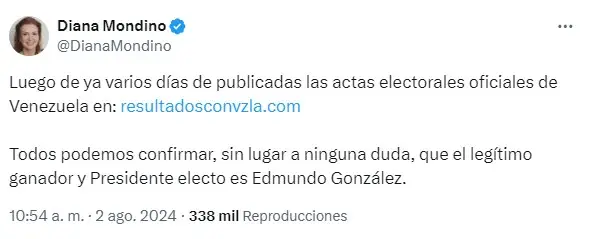 El mensaje de Diana Mondino sobre las elecciones en Venezuela