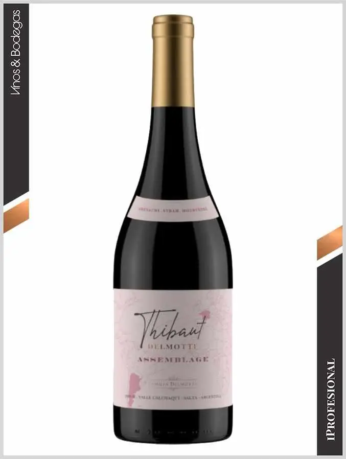 Thibaut Delmotte Assemblage GSM