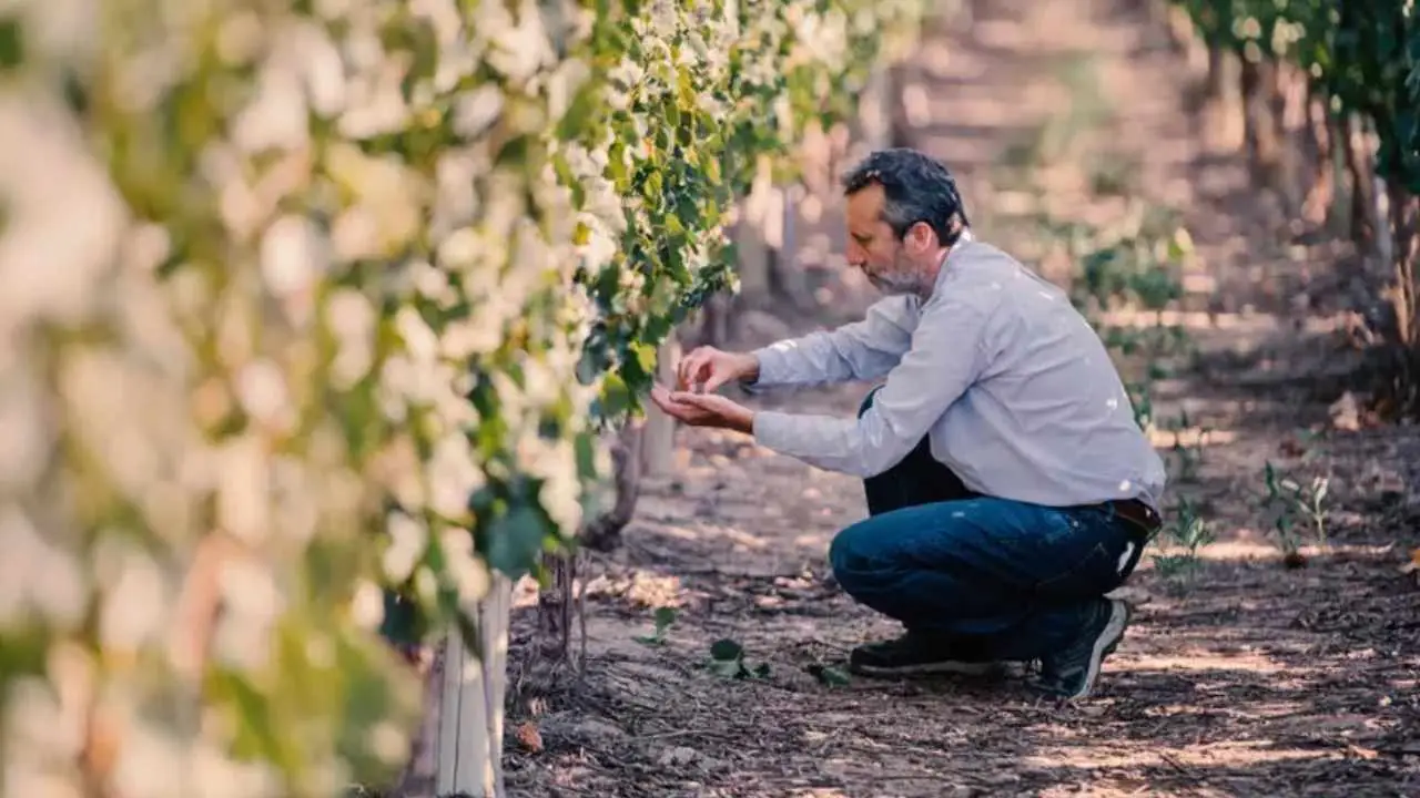 Alejandro Pepa, enólogo de Bodega El Esteco