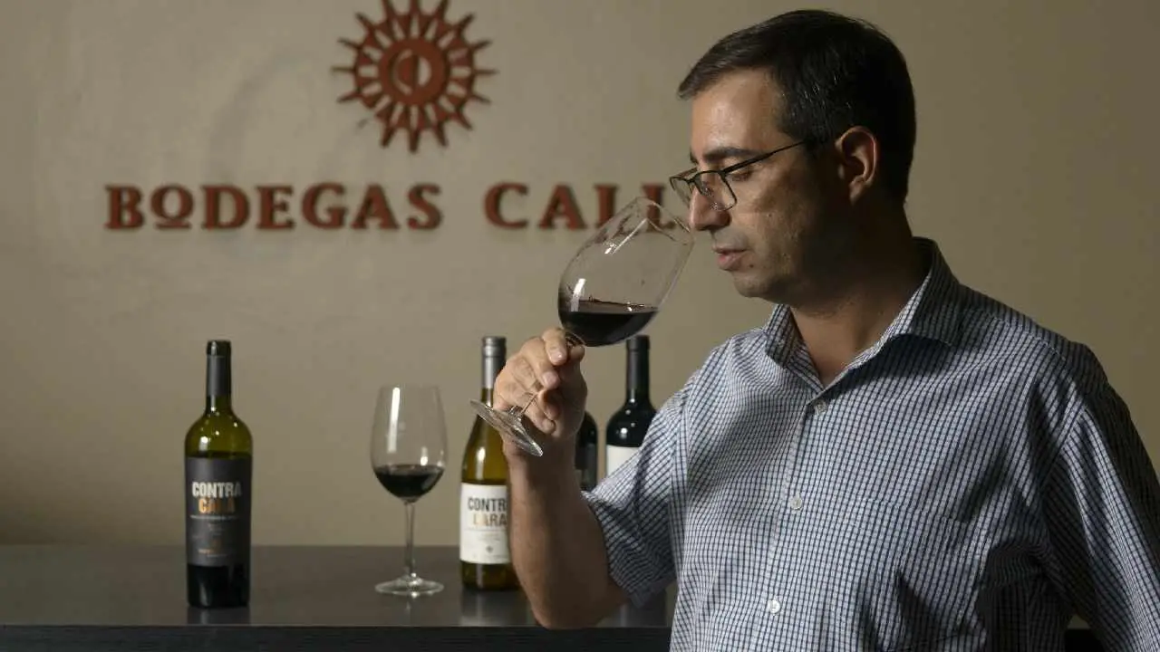 Gustavo Daroni, gerente de Enología de Bodegas Callia
