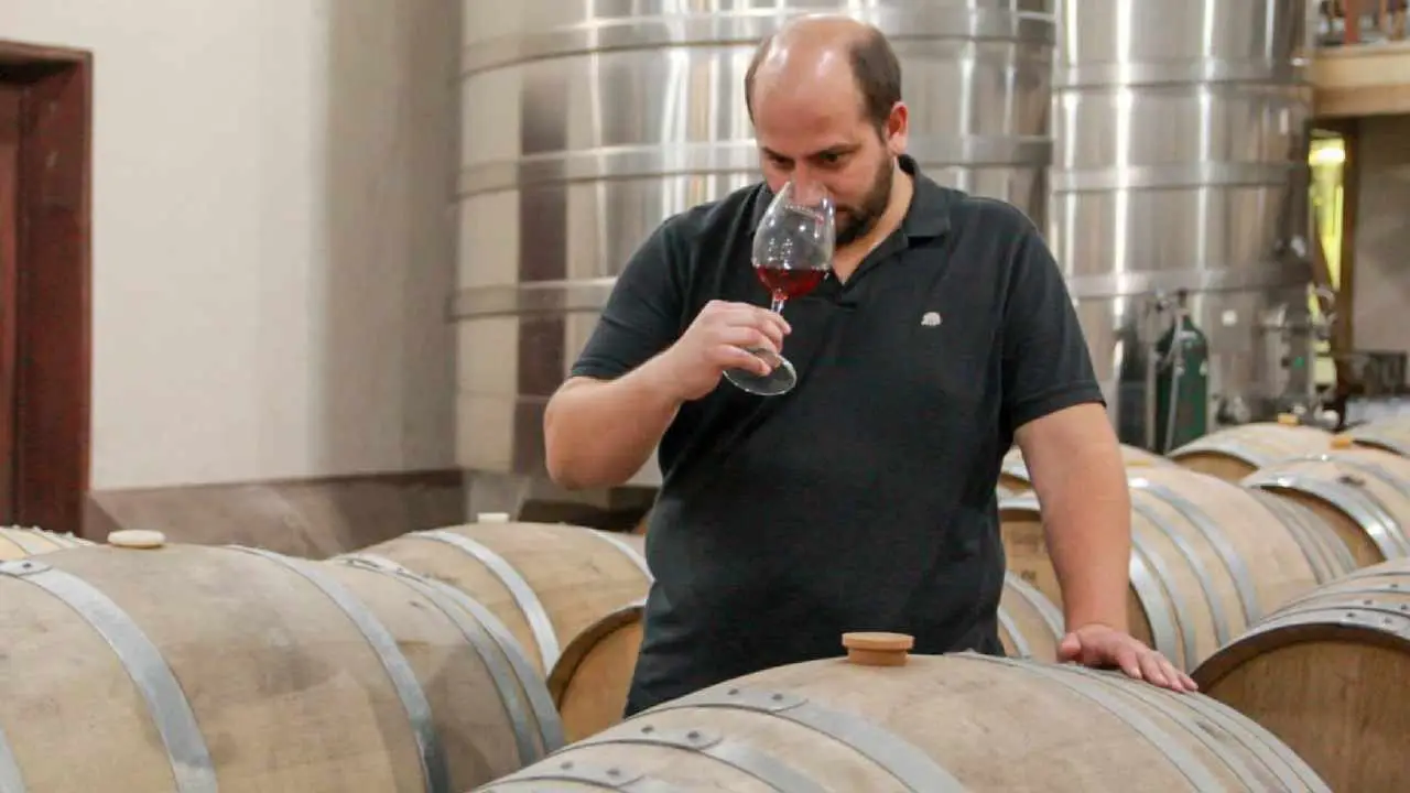 Ezequiel Ortego, enólogo de Bodega Trapiche Costa & Pampa