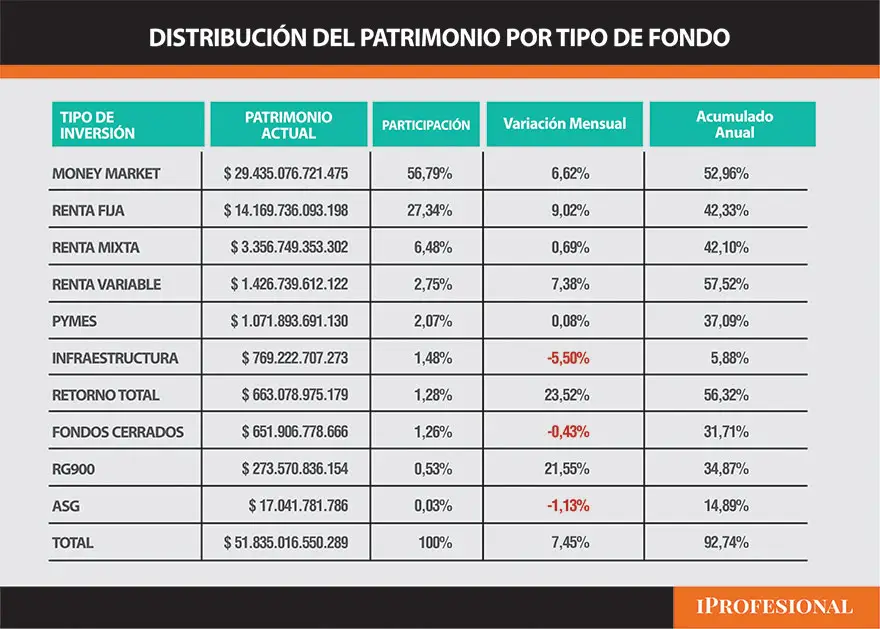 Distribución de patrimonio por tipo de fondo