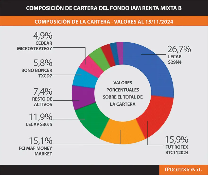 Composición de cartera del fondo IAM Renta Mixta B
