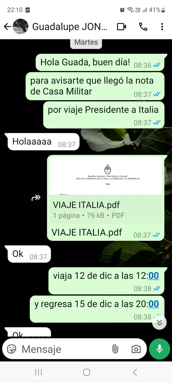 Uno de los chats que difundió el Gobierno