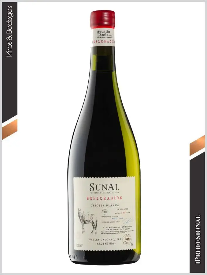 Sunal Exploración Criolla Blanca