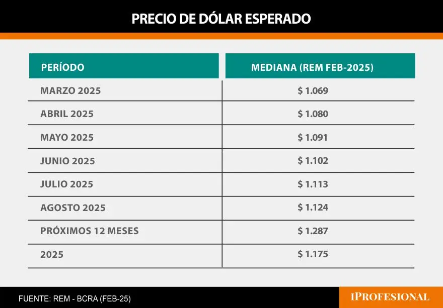 El precio del dólar oficial terminaría diciembre en $1.175, según el REM.