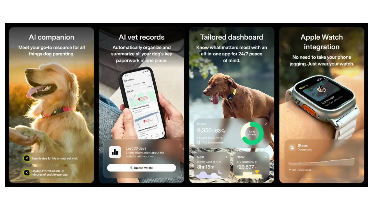 El collar para perros Fi Series 3+ con inteligencia artificial para un seguimiento único
