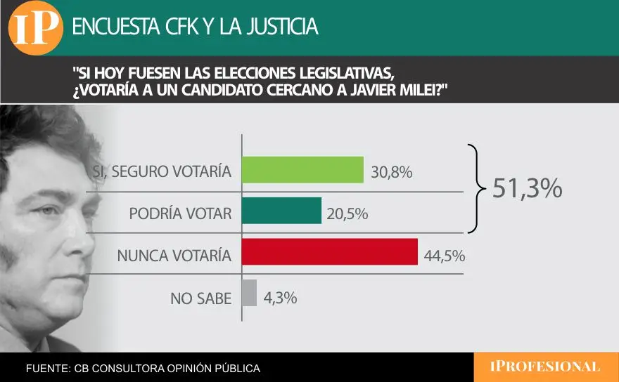 La condena no afectaría el caudal electoral del potencial candidato de Javier Milei  